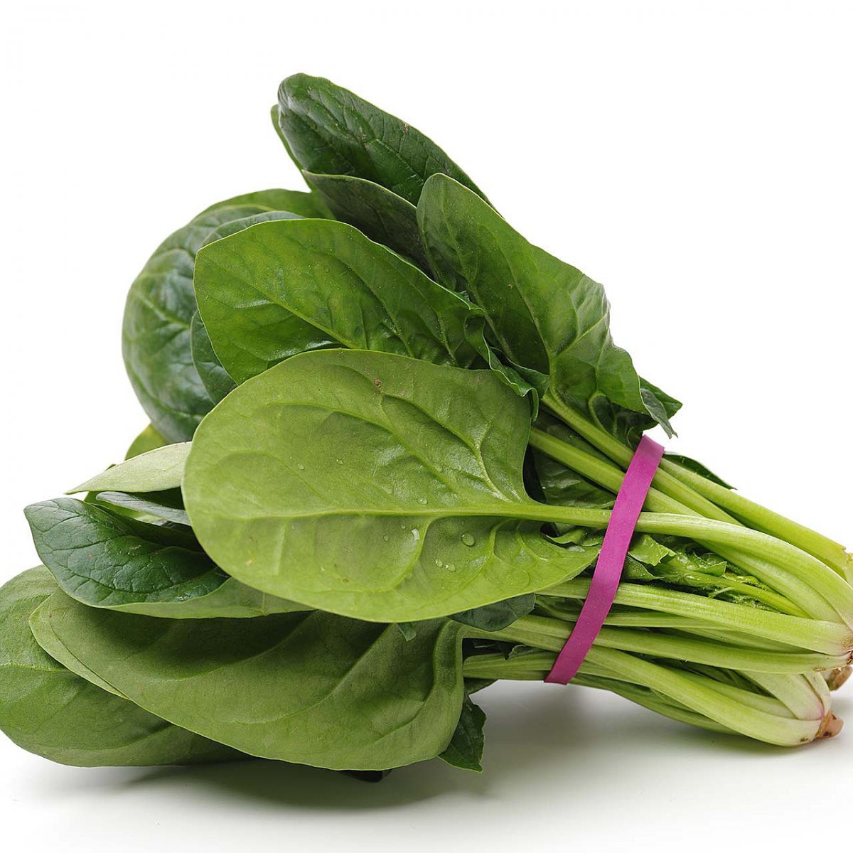 Fresh Spinach Bunch